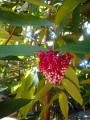 DSCN0571