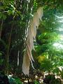 DSCN0578