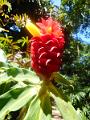 DSCN0581