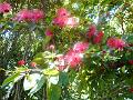 DSCN0585
