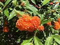 IMG_0841