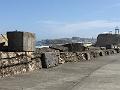 IMG_0491