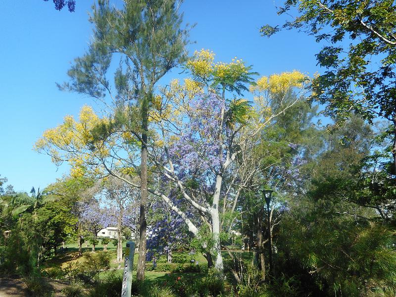 DSCN0611.JPG