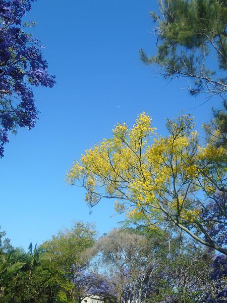 DSCN0614.JPG -           