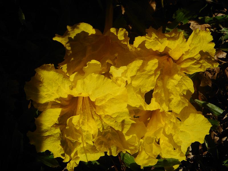 DSCN0634.JPG