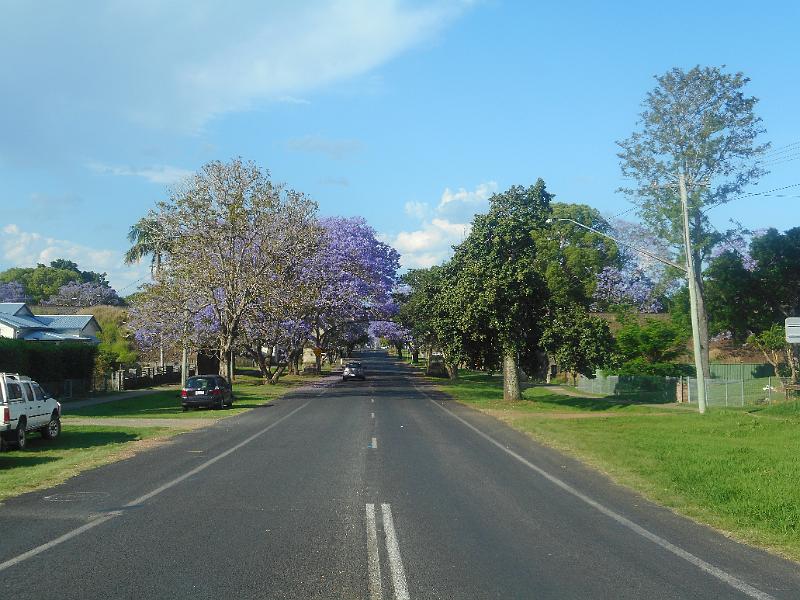 DSCN0642.JPG