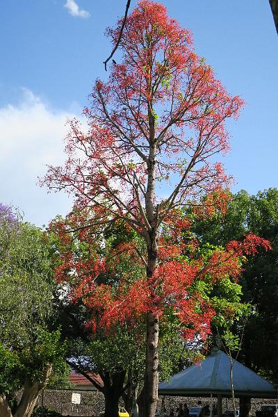 IMG_1932.JPG