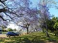 DSCN0612