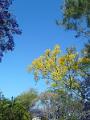 DSCN0614