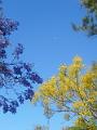 DSCN0615