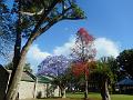 DSCN0617