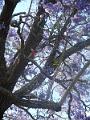 DSCN0626