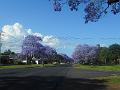 DSCN0630