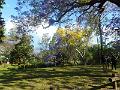 DSCN0631
