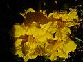 DSCN0634