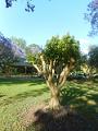 DSCN0646