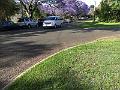 IMG_0917