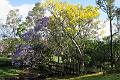 IMG_1960