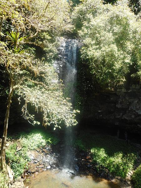 DSCN0673.JPG -           