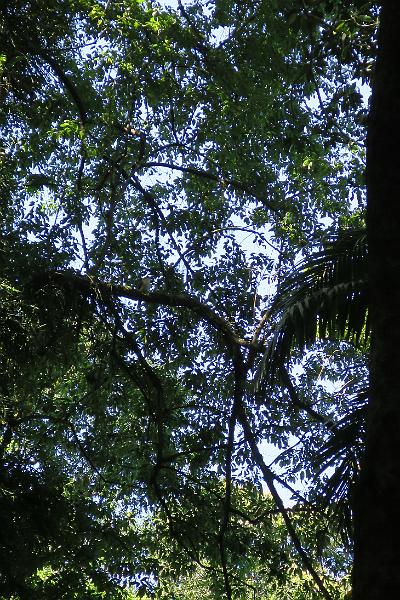 IMG_2105.JPG