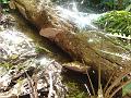 DSCN0658