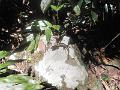 DSCN0670