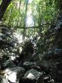 DSCN0671