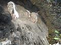 DSCN0689