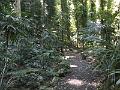 IMG_0995