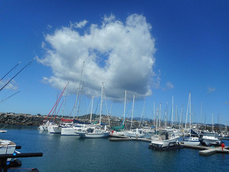 DSCN0709.JPG