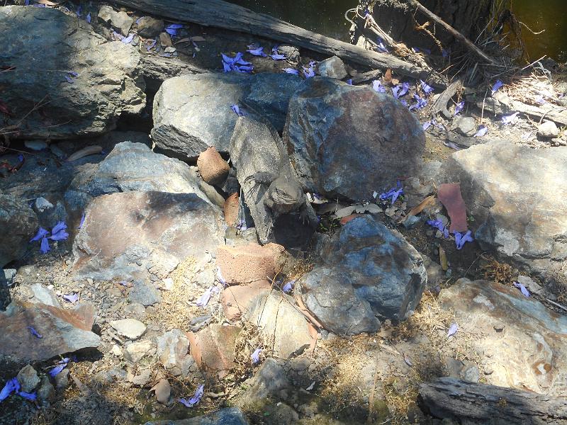 DSCN0713.JPG