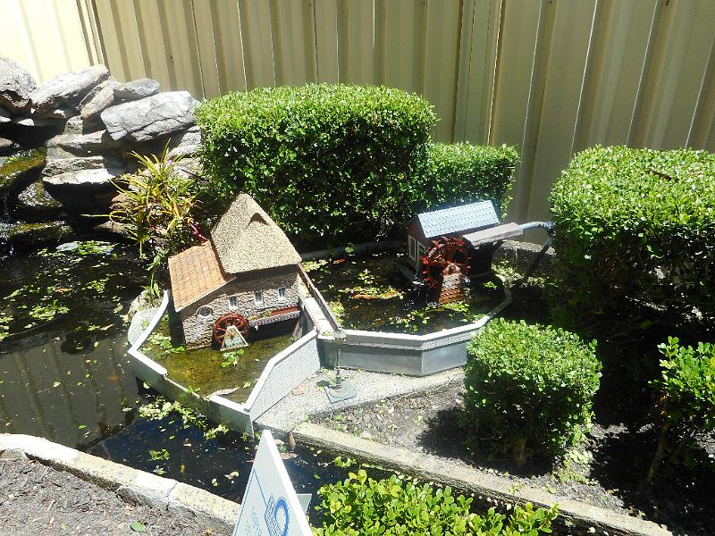 DSCN0718.JPG