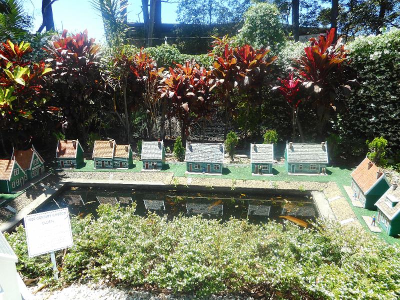 DSCN0733.JPG