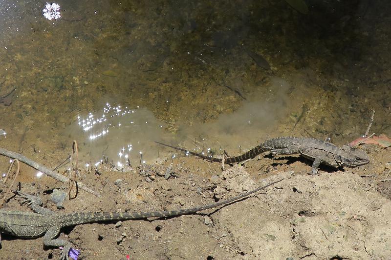 IMG_2172.JPG