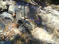 DSCN0714