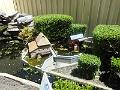 DSCN0718