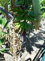 DSCN0751