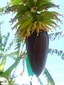 DSCN0752