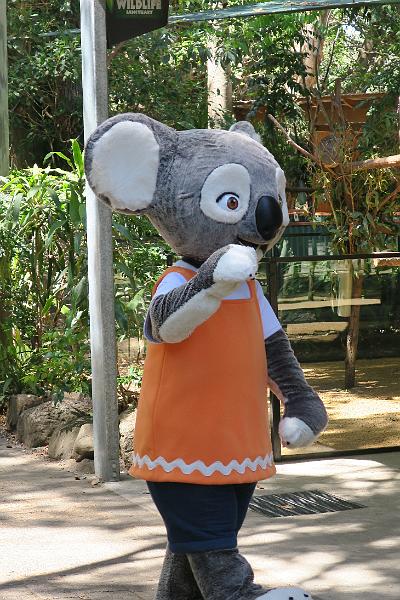 IMG_2347.JPG