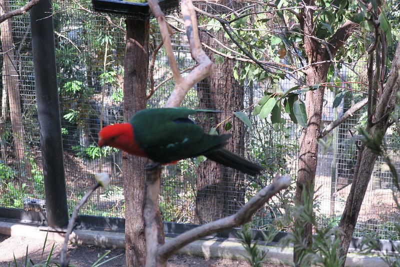 IMG_2490.JPG