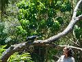 DSCN0786