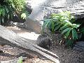 DSCN0815