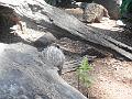 DSCN0816