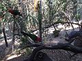 IMG_1073