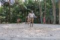 IMG_2558