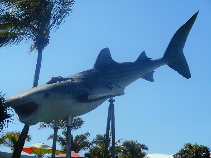 DSCN0933.JPG