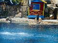 DSCN0861
