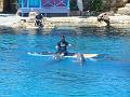 DSCN0873