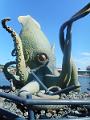DSCN0935