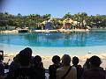 IMG_1085